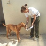 Volunteers