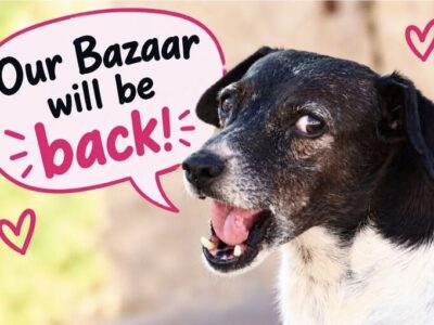 Bazaar at Island Sanctuary – Sunday 4th October 2026