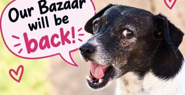 Bazaar at Island Sanctuary – Sunday 4th October 2026