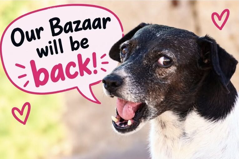 Bazaar at Island Sanctuary – Sunday 4th October 2026